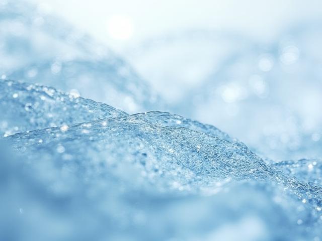 Tencel Lyocell fibers derived from eucalyptus